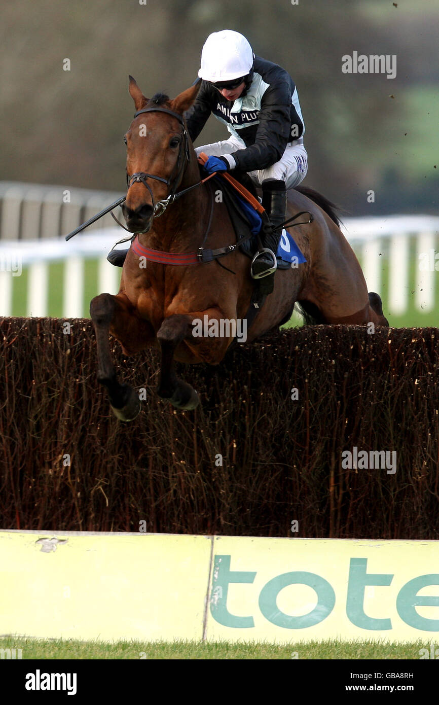 Les courses de chevaux - Hippodrome de Chepstow Banque D'Images