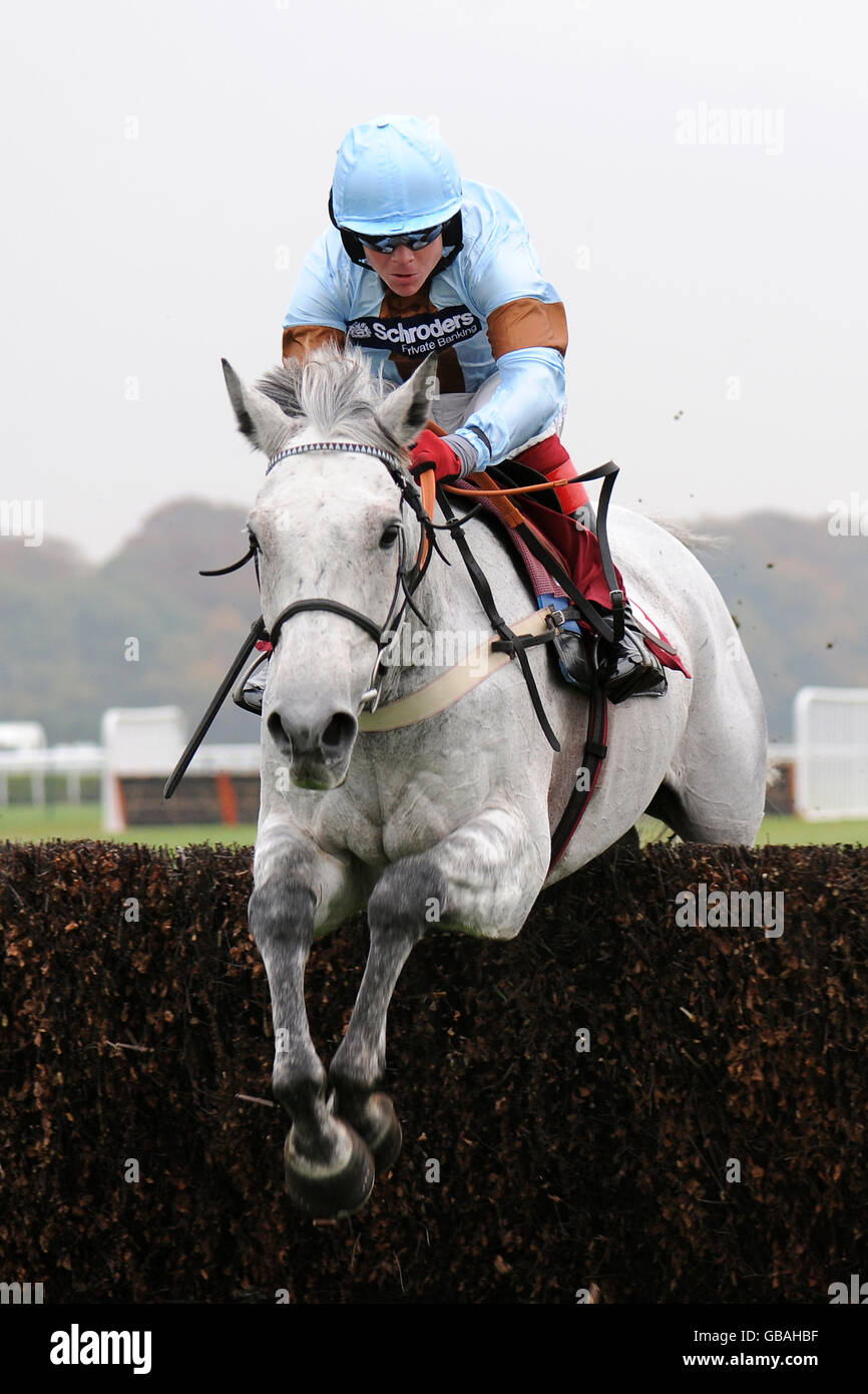 Bien-Être - Course de chevaux Raceday - Haydock Park Banque D'Images