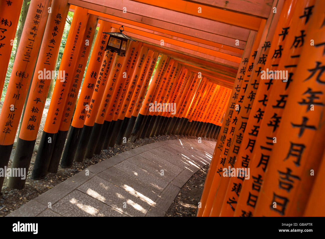 Pathway avec orange peint torii (portes) sur le célèbre sanctuaire Fushimi Inari à Kyoto, au Japon. Banque D'Images