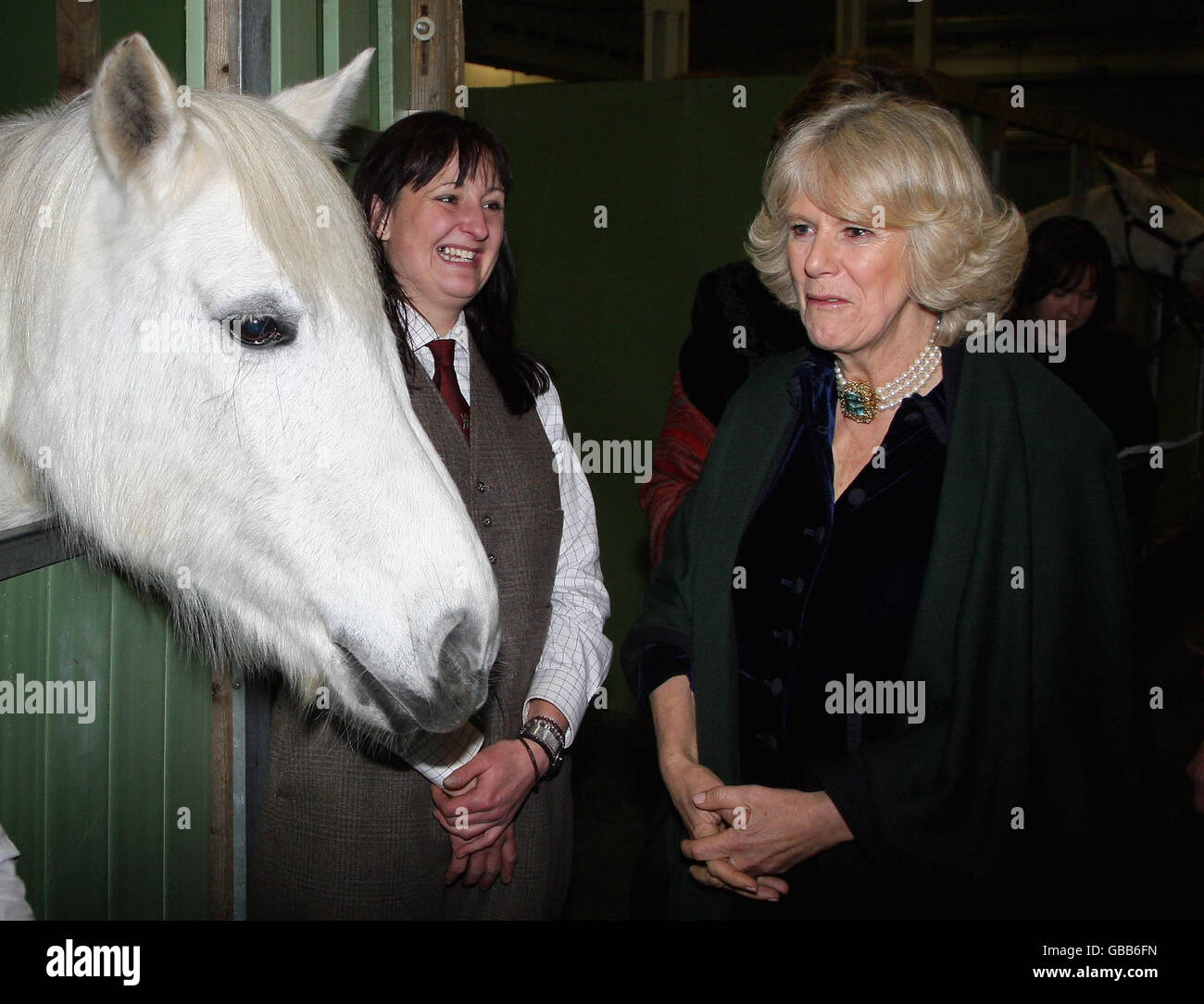 Olympia, le London International Horse Show Banque D'Images