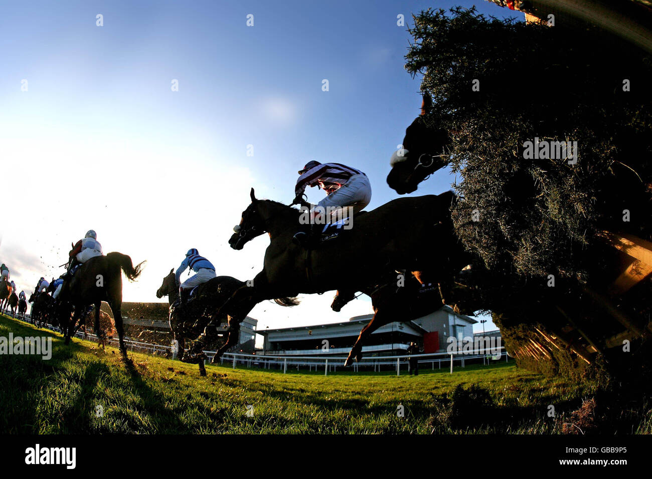 Courses hippiques - Stephens Day et Durkan Day - Hippodrome de Leopardstown.Le champ est le dernier de l'obstacle handicap de Durkan New Homes lors de la journée Stephens et de la journée Durkan à l'hippodrome de Leopardstown, en Irlande. Banque D'Images