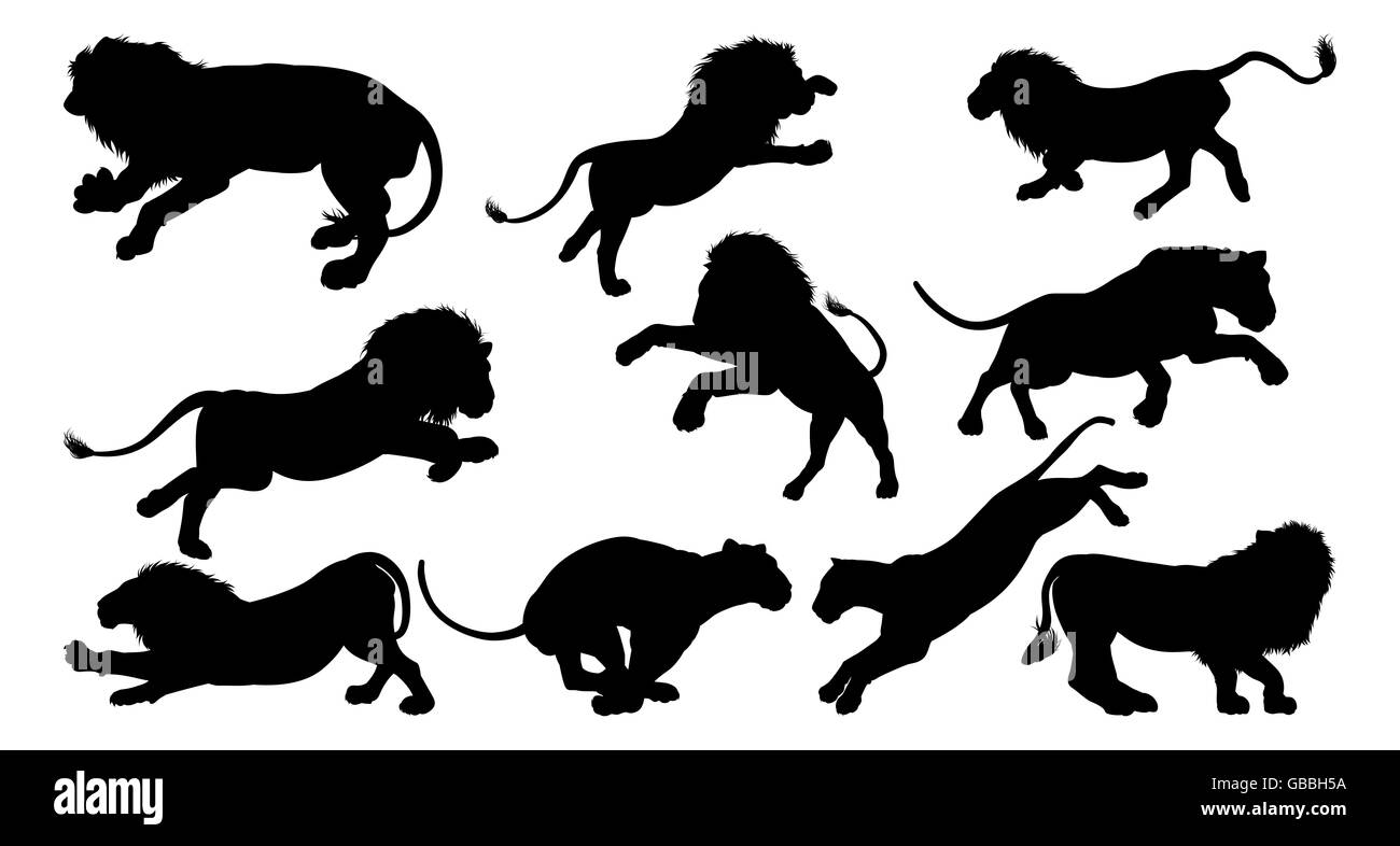 Les Lions de Silhouette. Un ensemble d'hommes et de femmes les lions à l'ossature Banque D'Images