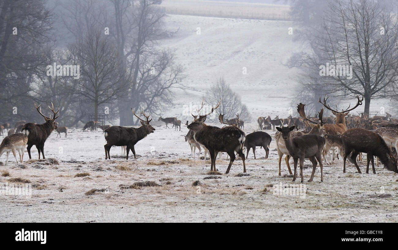 Par temps froid Banque D'Images