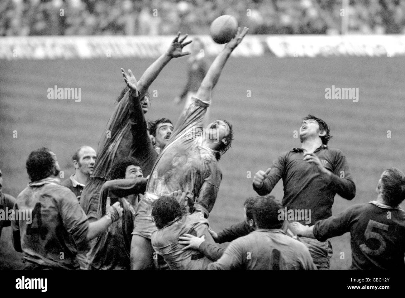 Rugby Union - Championnat des Cinq Nations - Angleterre v Pays de Galles Banque D'Images