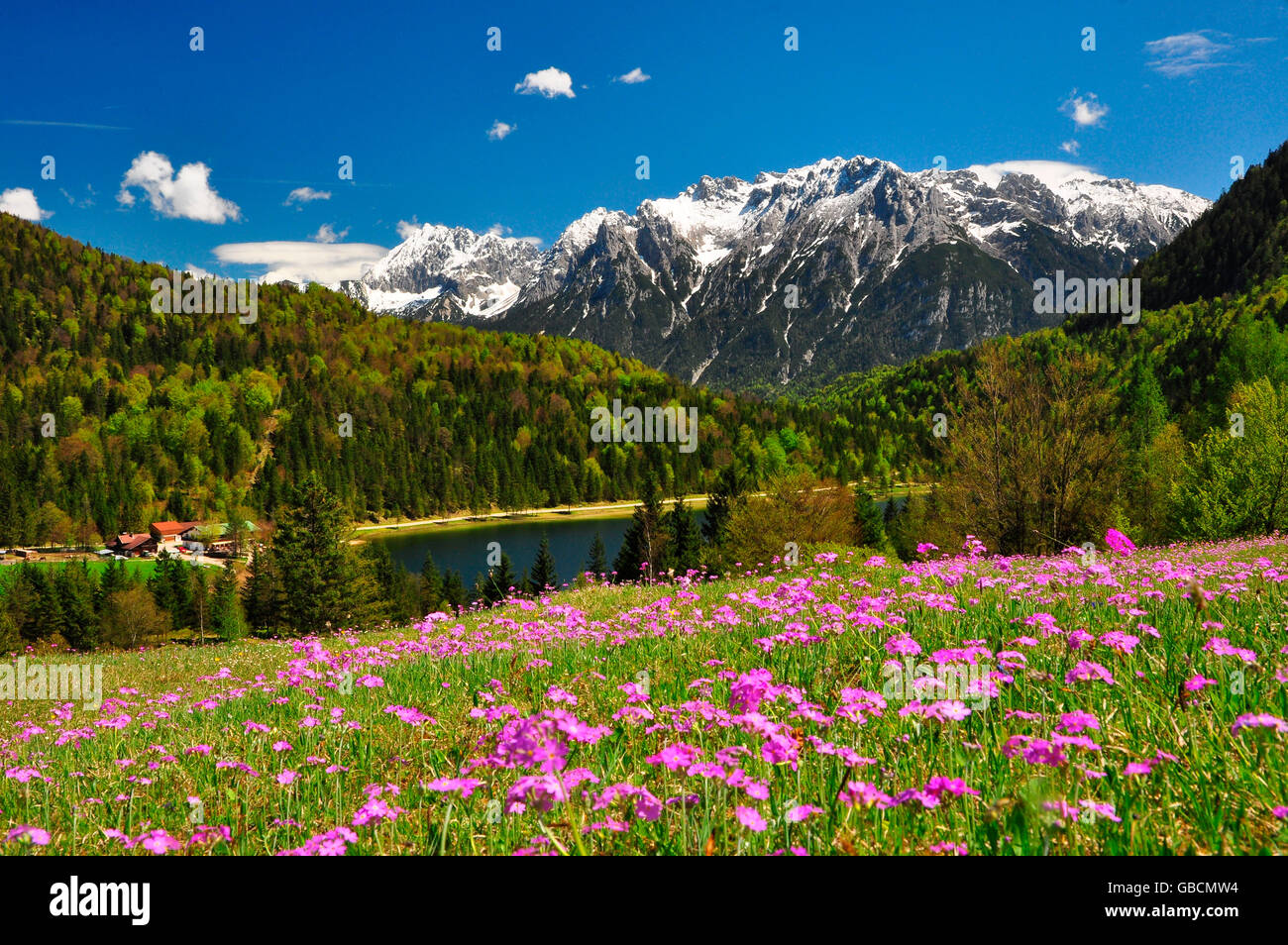 Bergsee, Ferchensee, Karwendelgebirge, Mittenwald, Bayern, Deutschland Banque D'Images