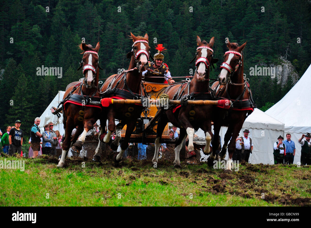 Brauchtum, historisch, Pferde, Wagenrennen, roemisch Banque D'Images