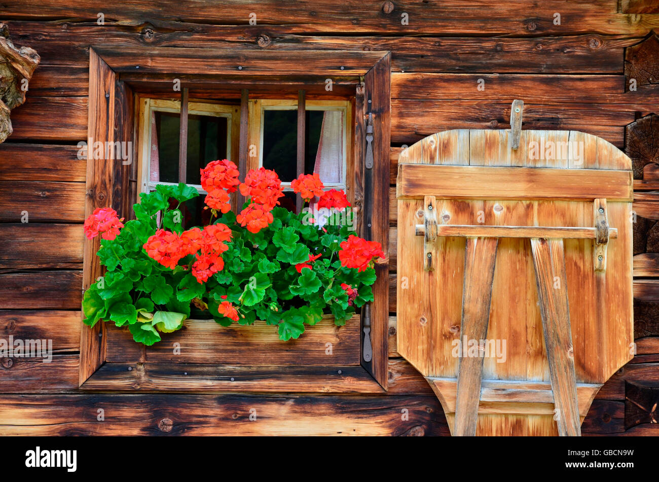 Almhuette, Holzhuette, Blumenfenster, Tirol, Österreich Banque D'Images