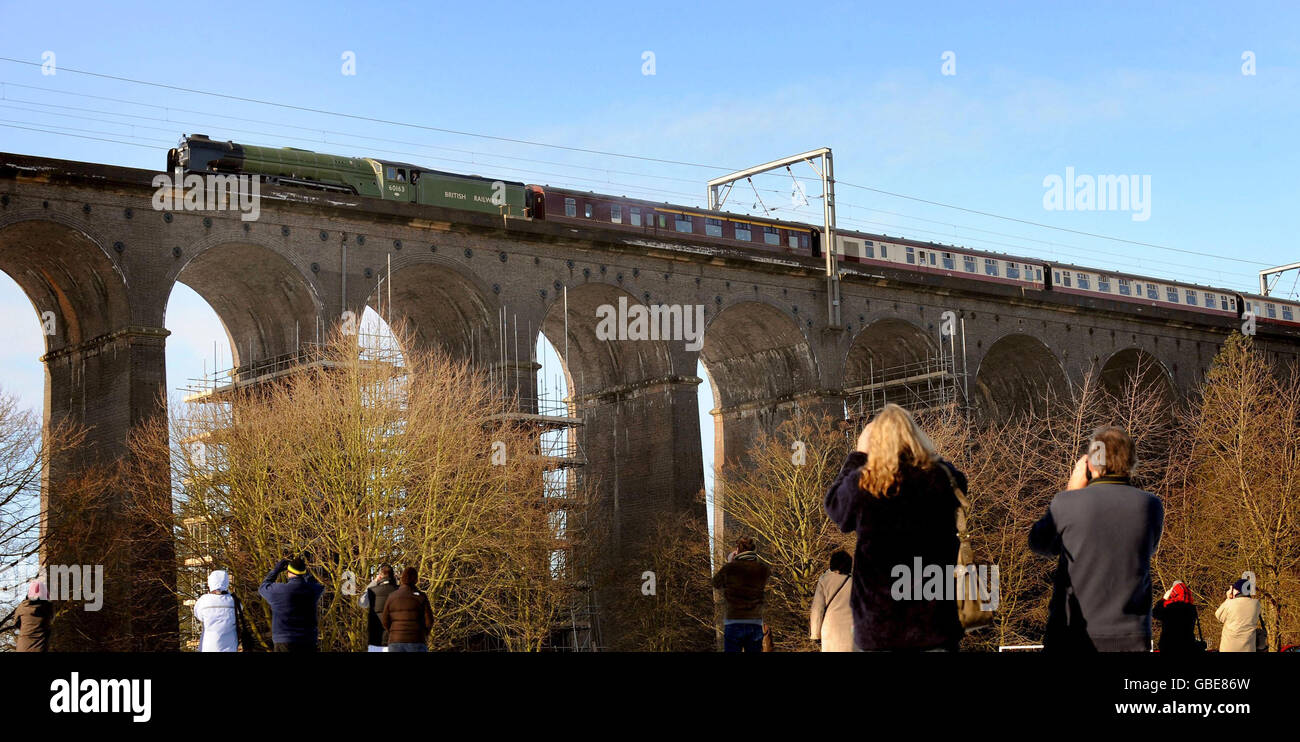La nouvelle locomotive à vapeur de 3 m Tornado passe devant le viaduc Digwell à Digwell, dans le Hertfordshire, en direction de la gare de London King's Cross. Banque D'Images
