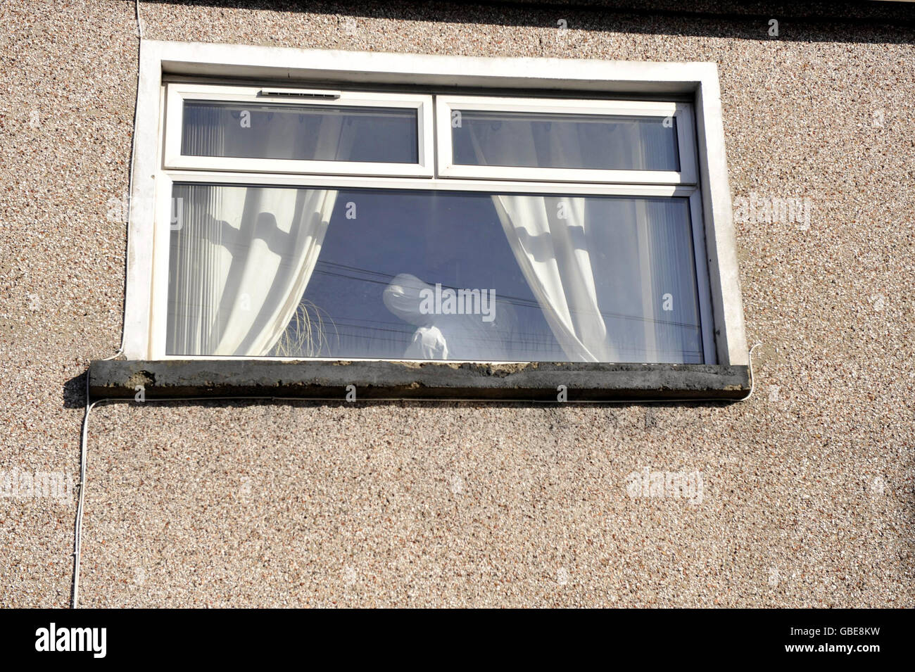 Un policier judiciaire est vu à travers la fenêtre d'une maison sur commercial Street à Ystrad Mynach, Caerphilly, pays de Galles, où un bébé de trois mois et demi a été malléé à mort par deux chiens appartenant à la famille vers minuit la nuit dernière. Banque D'Images