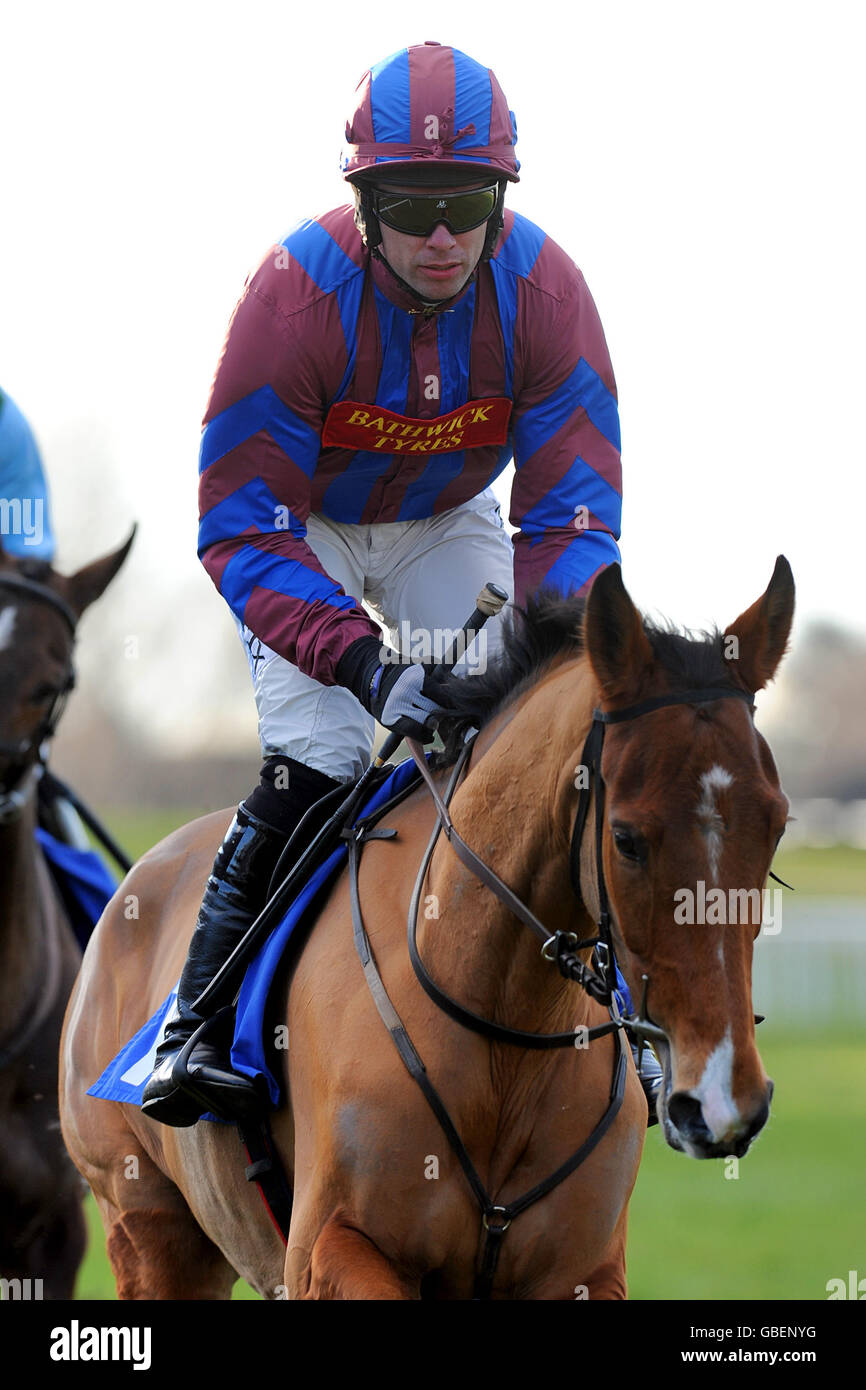 Ronaldo des Mottes, monté par le jockey Timmy Murphy avant les Facilitas, assure l'obstacle des novices. Banque D'Images