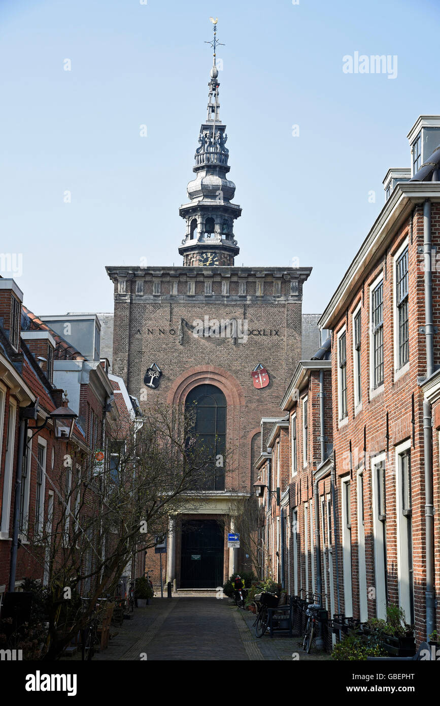 Nieuwe Kerk, église, Haarlem, Hollande du Nord, Pays-Bas / Hollande Banque D'Images