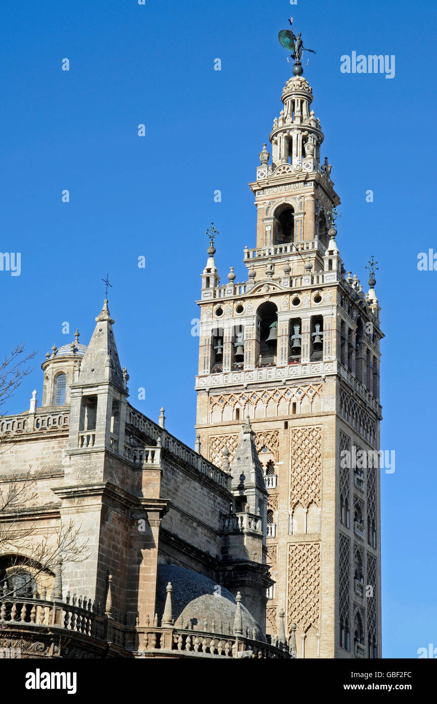 La Giralda, la tour du clocher, Santa Maria de la Sede, cathédrale, Séville, Séville, Andalousie, province de l'Espagne, Europe Banque D'Images