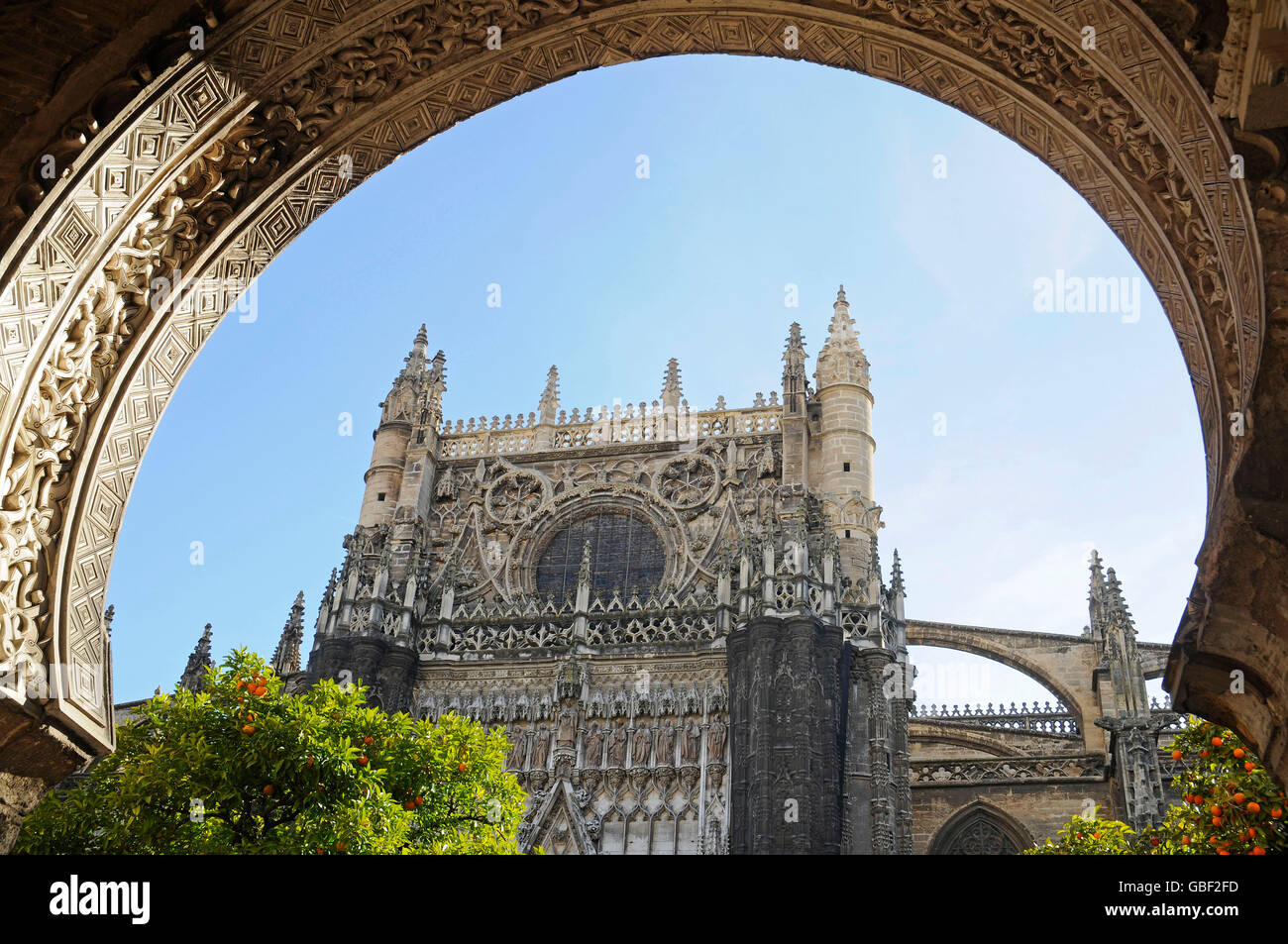 Orangerie, Santa Maria de la Sede, cathédrale, Séville, Séville, Andalousie, province de l'Espagne, Europe Banque D'Images