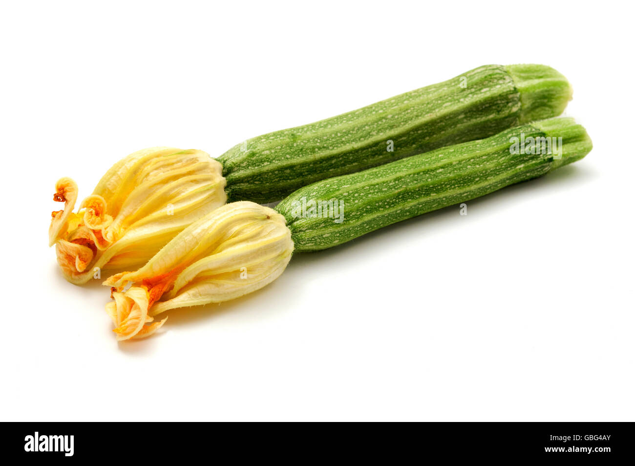 Courgettes à rayures avec des fleurs jaunes sur un fond blanc Banque D'Images