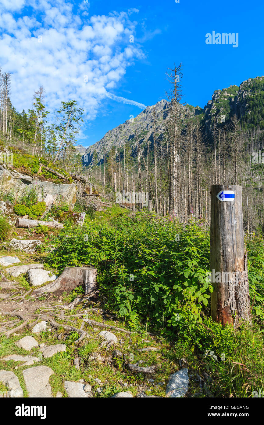 Signe sur le sentier de randonnée en été arbre paysage de hautes montagnes Tatras, Slovaquie Banque D'Images