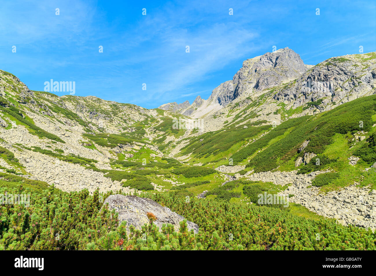 Starolesna dans la vallée verte paysage estival de hautes montagnes Tatras, Slovaquie Banque D'Images