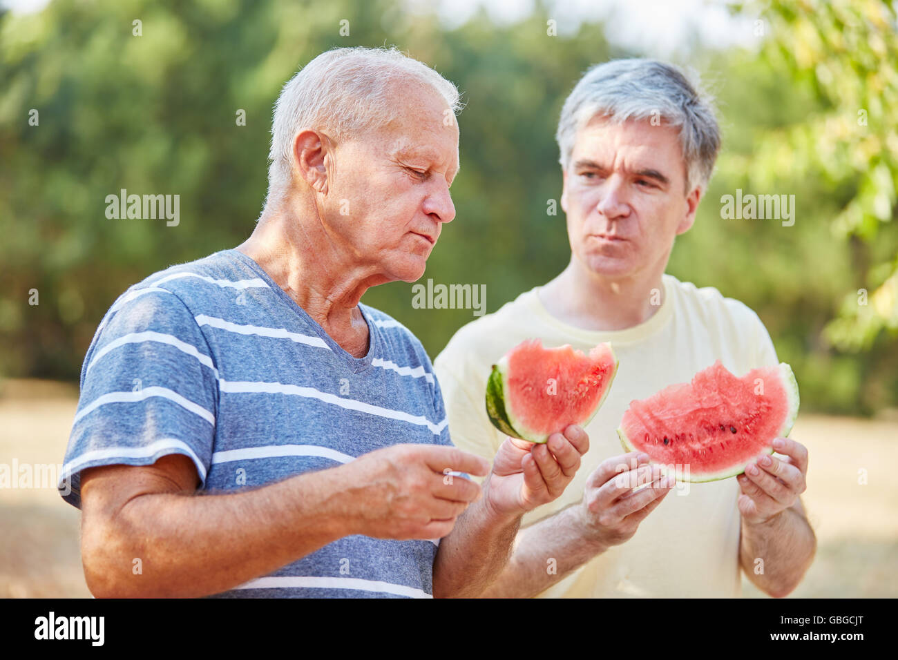 Deux personnes âgées eating watermelon en été Banque D'Images