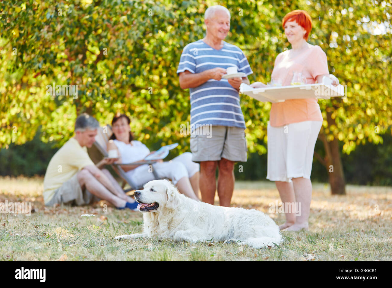 Groupe de personnes âgées avec chien dans le parc de boire du café sur leurs vacances d'été Banque D'Images