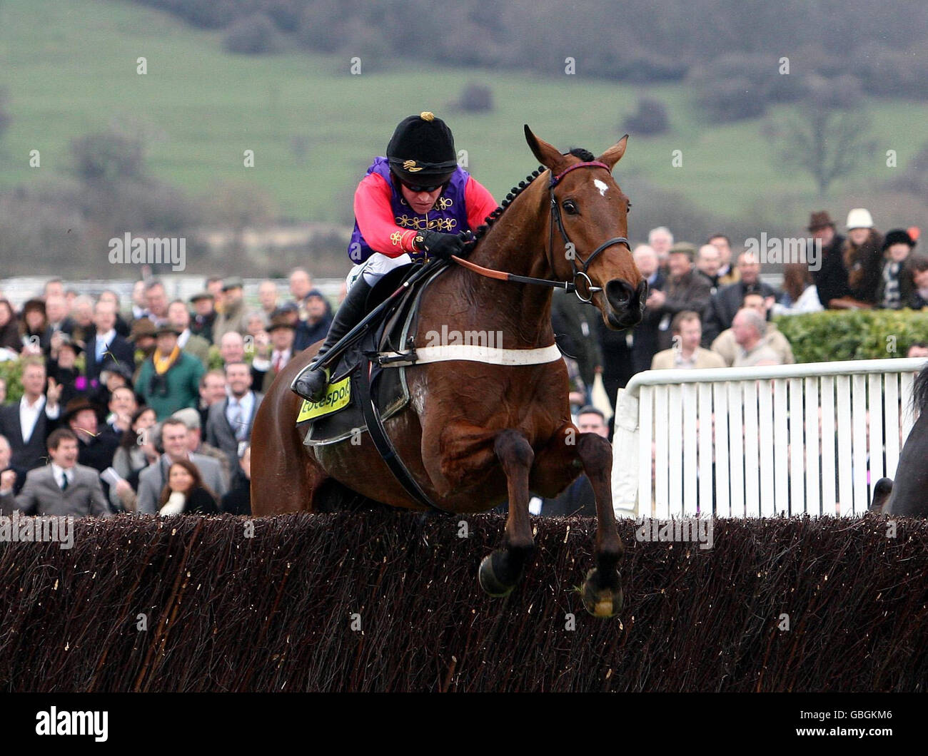 Le magasin de coiffure de chevaux Queen Elizabeth II de Grande-Bretagne, où Barry Geraghty est monté, ouvre la dernière clôture dans le Totesport Cheltenham Gold Cup Steeple Chase, à l'hippodrome de Cheltenham, Cheltenham. Banque D'Images