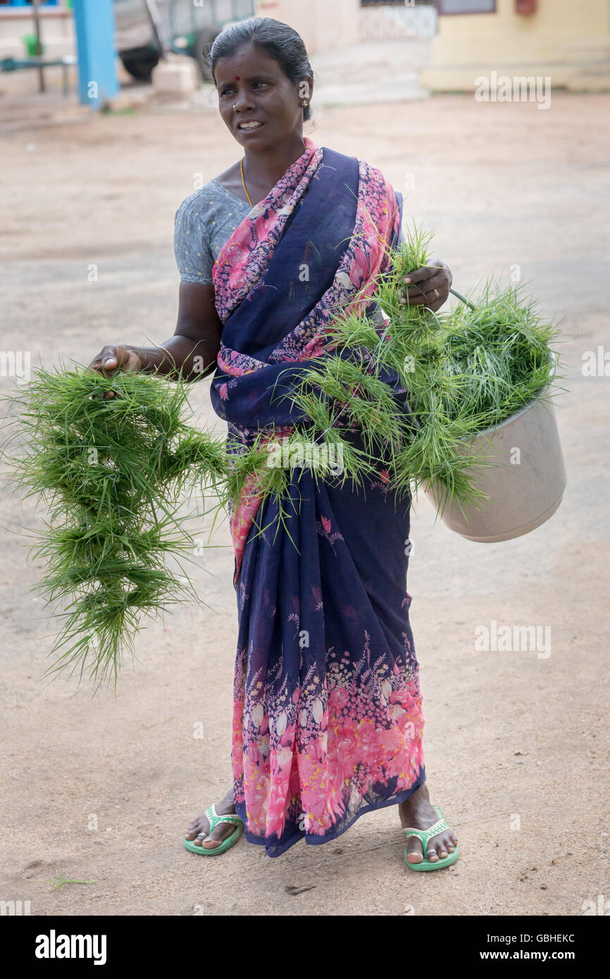 De l'herbe pour Ganesha vendu être femme. Banque D'Images