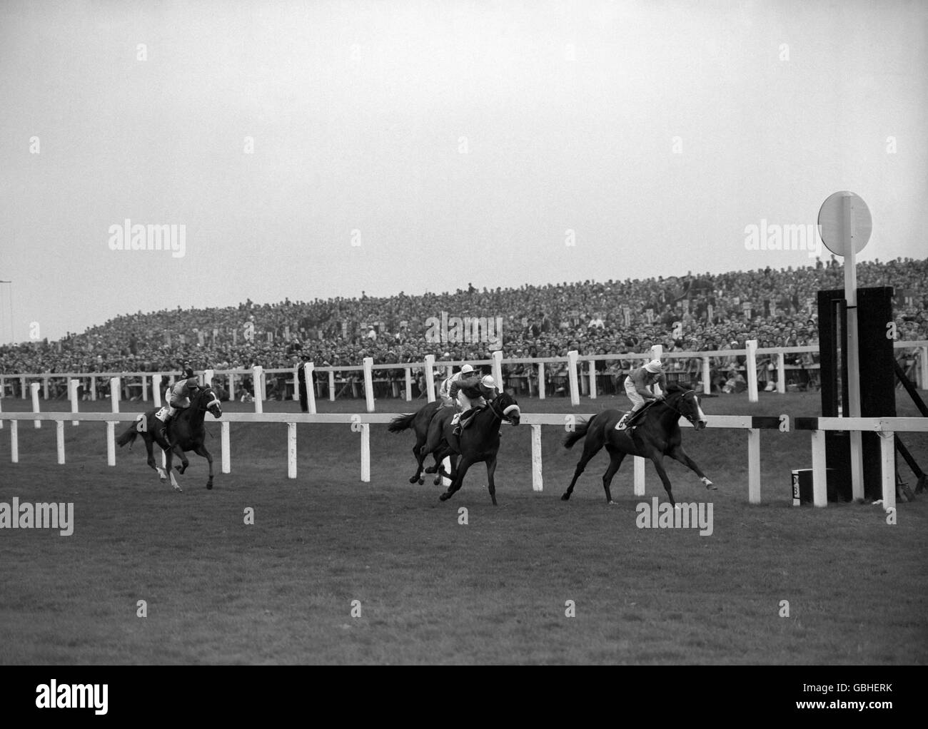 La finale du 1961 St. léger, remportée par 'Aurelius' de Vera Lilley (8), Lester Piggott up, de 'Bounteous' (7), Joe Sime UP, et 'dicta Drake' (13), M Garcia UP. Banque D'Images