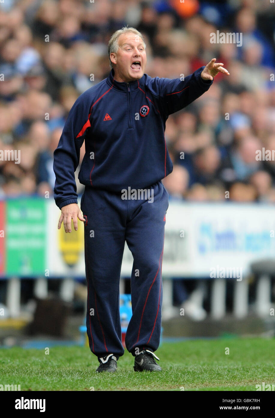 Soccer - Coca-Cola Football League Championship - Lecture v Sheffield United - Madejski Stadium Banque D'Images