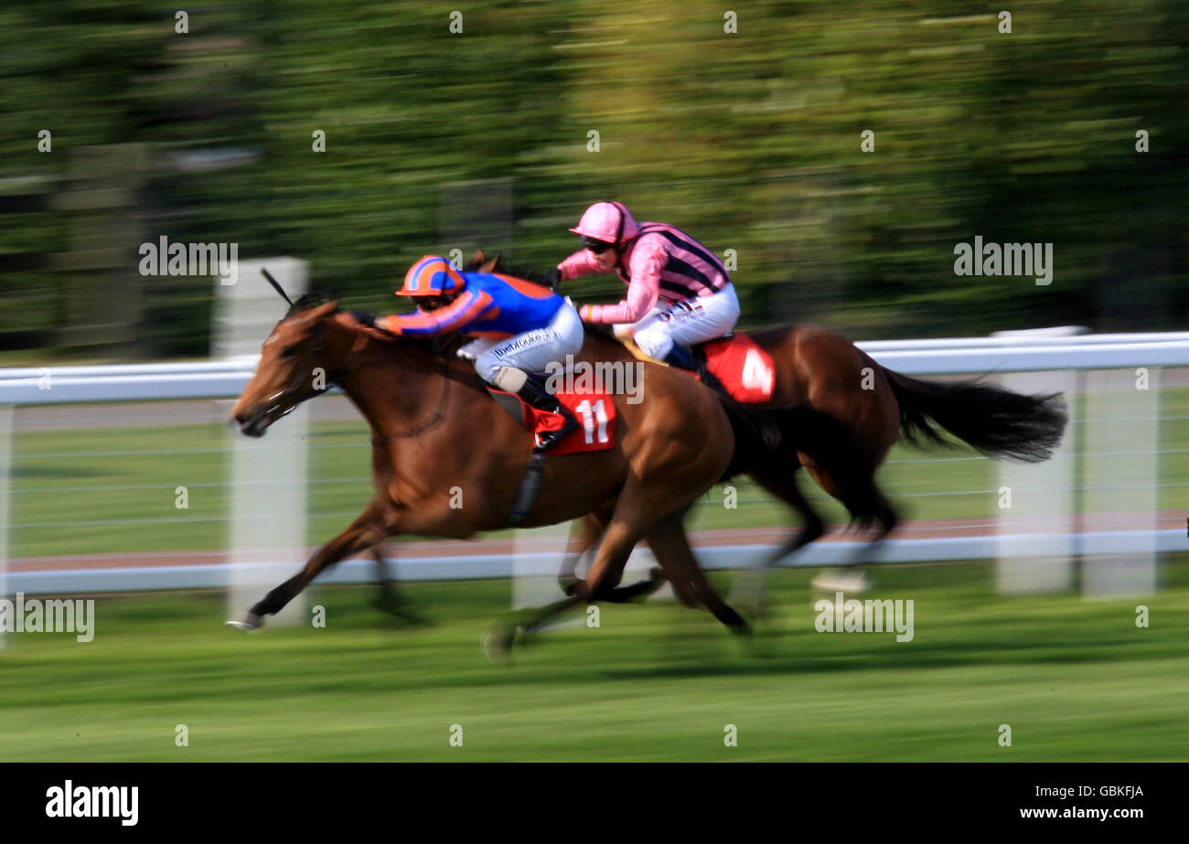 Courses hippiques - bet365 Gold Cup Meeting - Premier jour - Sandown Park.Star Ruby, monté par Alan Munro, remporte le Poker à bet365.com piquets de Maiden Fillies Banque D'Images