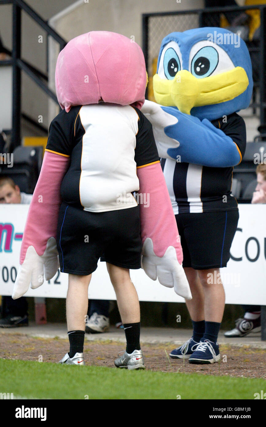 Football - Friendly - Notts County v Coventry City Banque D'Images