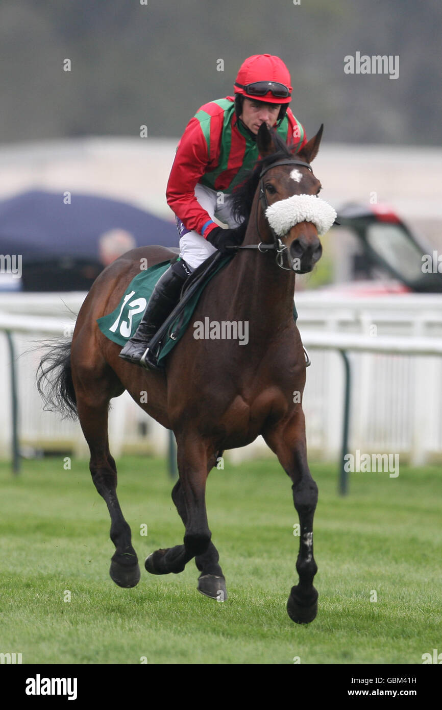 Courses hippiques - Festival Stan James Perth - troisième jour - Hippodrome de Perth.Millanymare, monté par Dennis O'Regan, va poster pour The Press & Journal Highland National handicap Chase Banque D'Images