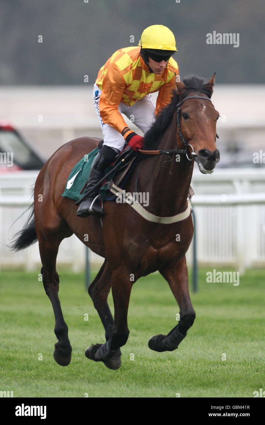 Ballyvoge, monté par David Condon, va poster pour le Presse & Journal Highland National handicap Chase Banque D'Images