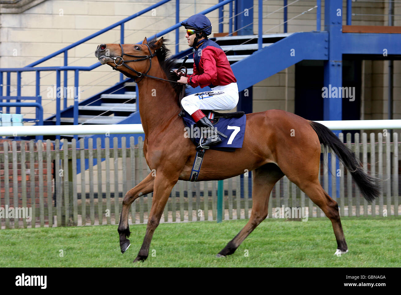 Les courses de chevaux - betinternet Jour - Newmarket Racecourse Banque D'Images