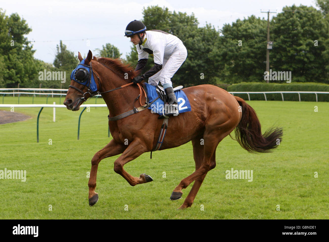 Jockey Mark Coumbe sur russe Invader va à la poste pour Le centre de conférence Paddocks handicap Banque D'Images