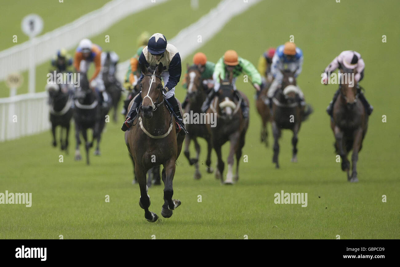 Les courses de chevaux - Boylesports.com 2000 guinées irlandaises - Curragh Hippodrome Banque D'Images