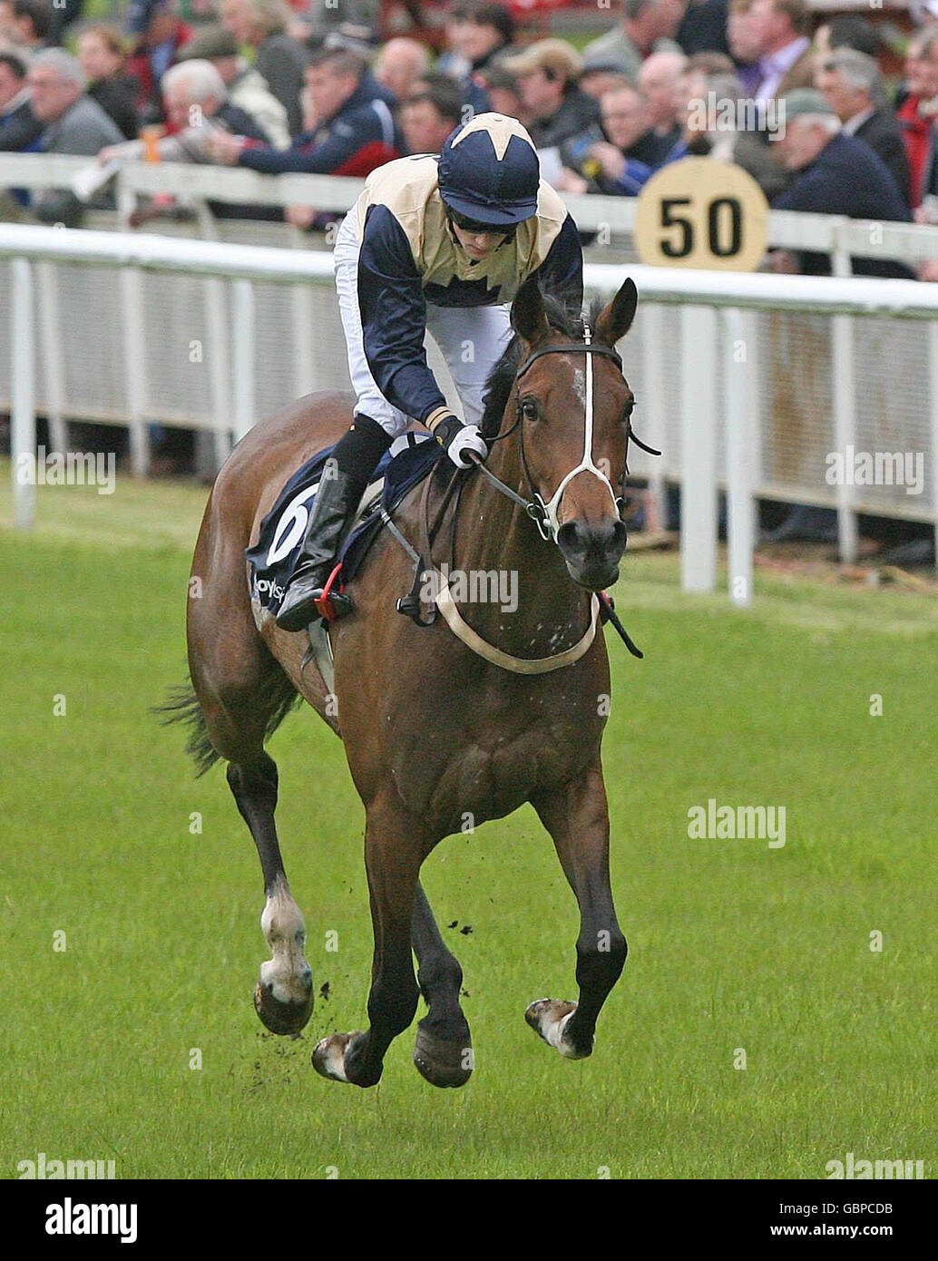 L'étoile de Magen, criblée par William Lee, remporte le handicap Boylesports.com lors de la Journée irlandaise de la Guinéas Boylesports.com de 2000 à l'hippodrome de Curragh, Co. Kildare, Irlande. Banque D'Images