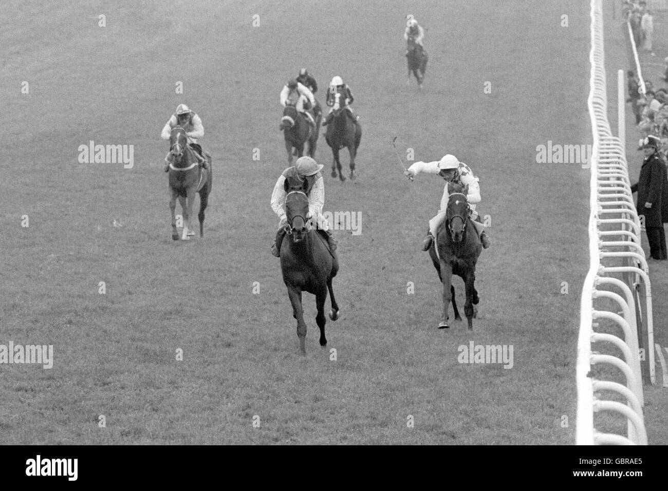 'Rainbow Quest', monté par Pat Eddery gagne, de 'Old Country', deuxième place. Banque D'Images