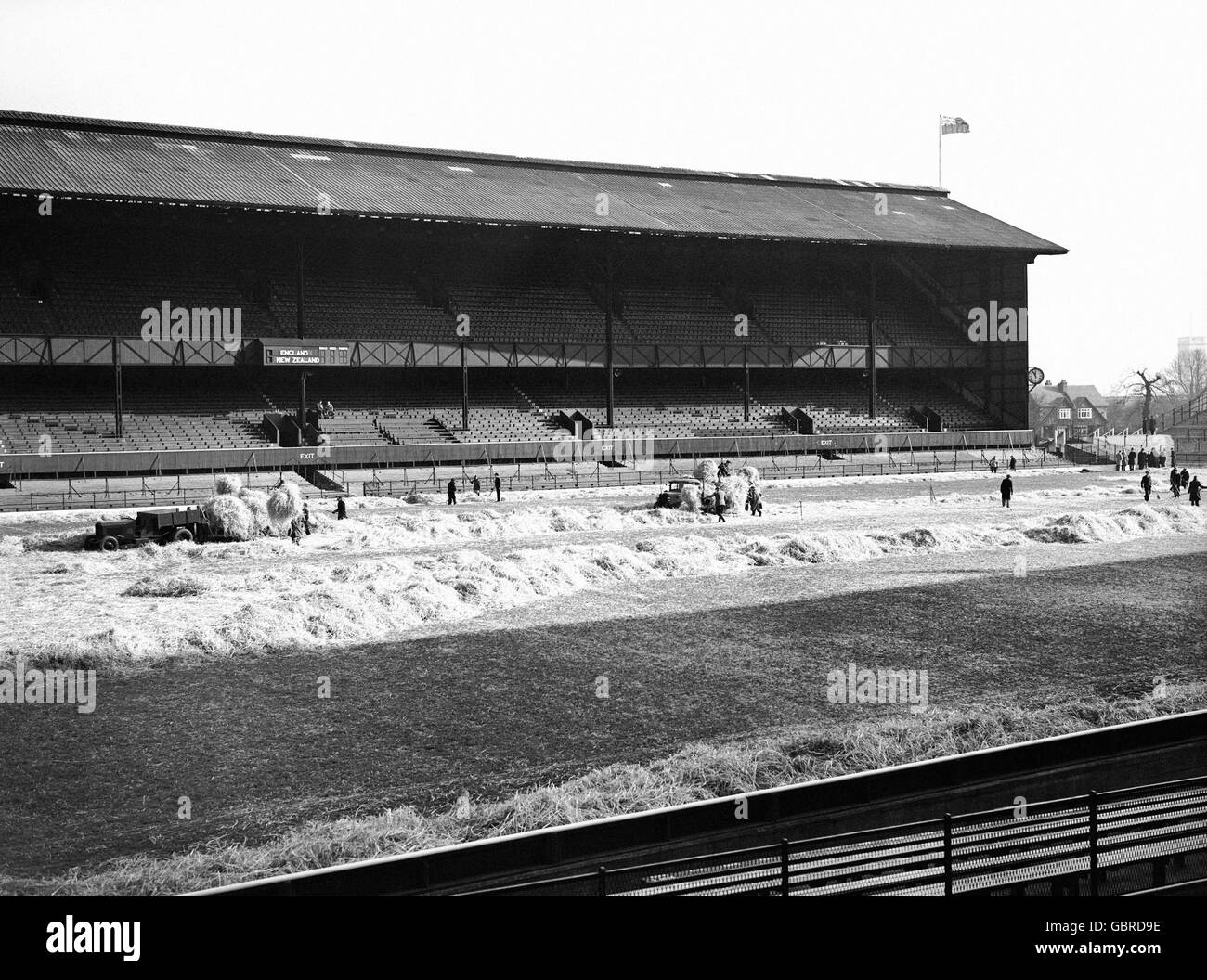 Les Groundsmen déblayage de la paille qui a été déposée pour protéger le terrain contre les intempéries. Banque D'Images