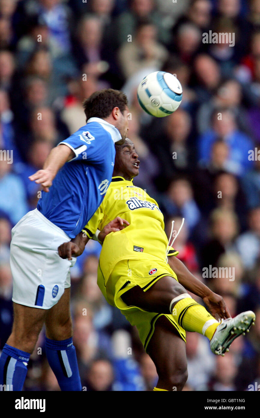 Soccer - FA Barclays Premiership - Birmingham City / Charlton Athletic.David Dunn (l) de Birmingham City et Kevin Lisbie (r) de Charlton Athletic sautent pour la barre de coupe Banque D'Images