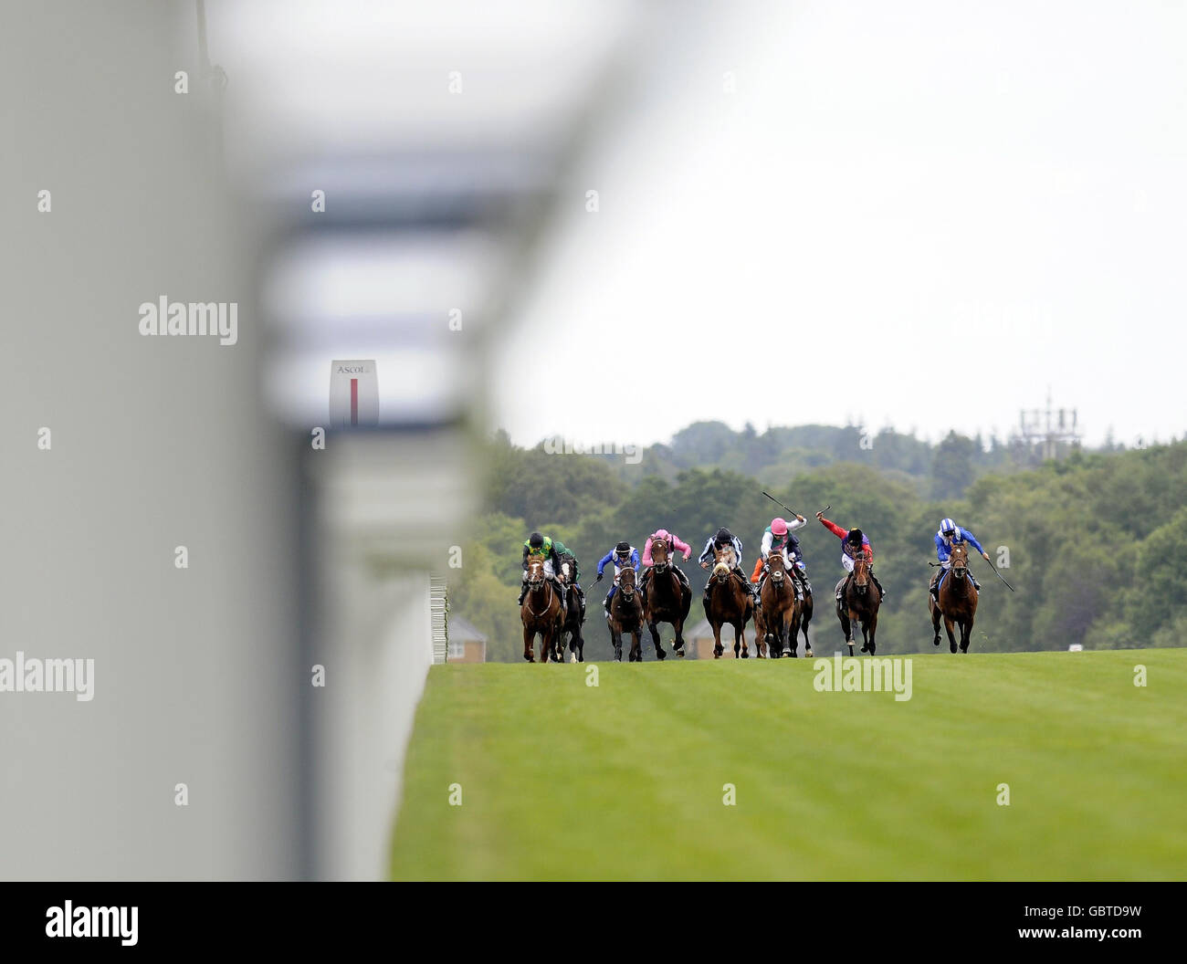 Père Time et Eddie Ahern (casquette rose, manches blanches) conduisent à gagner les enjeux du roi Edward VII pendant le quatrième jour de l'Ascot Royal à l'hippodrome d'Ascot, Berkshire. Banque D'Images