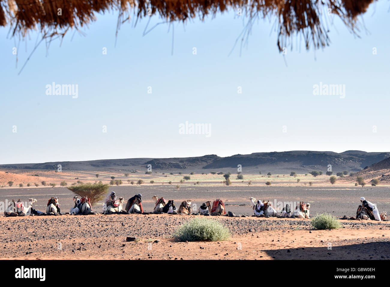 L'Afrique, Soudan, Mussawarat, nomad avec dromadaire Banque D'Images