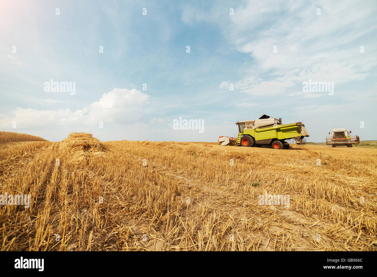 Moissonneuse batteuse en action sur le champ de blé Banque D'Images