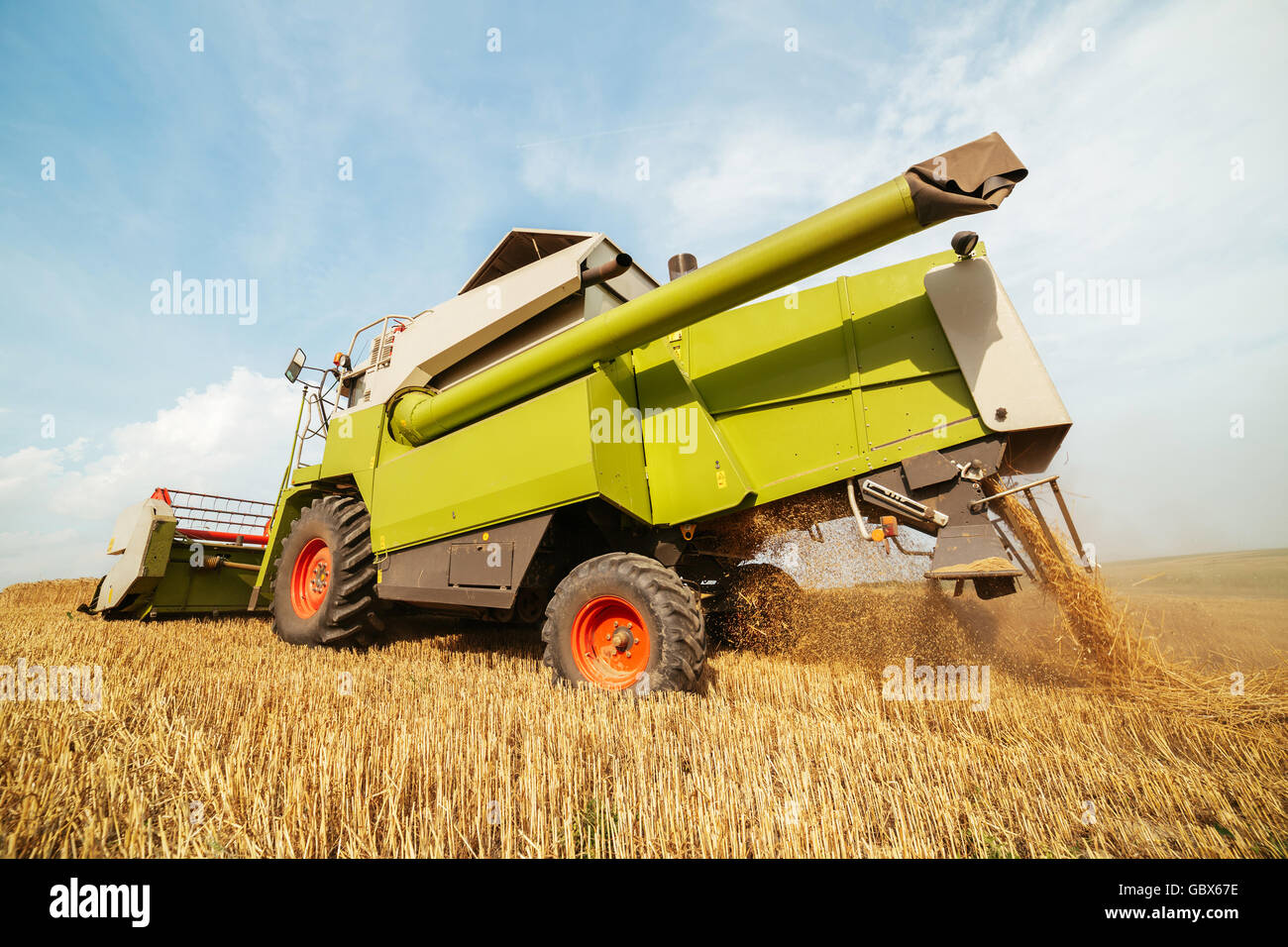 Moissonneuse batteuse en action sur le champ de blé Banque D'Images