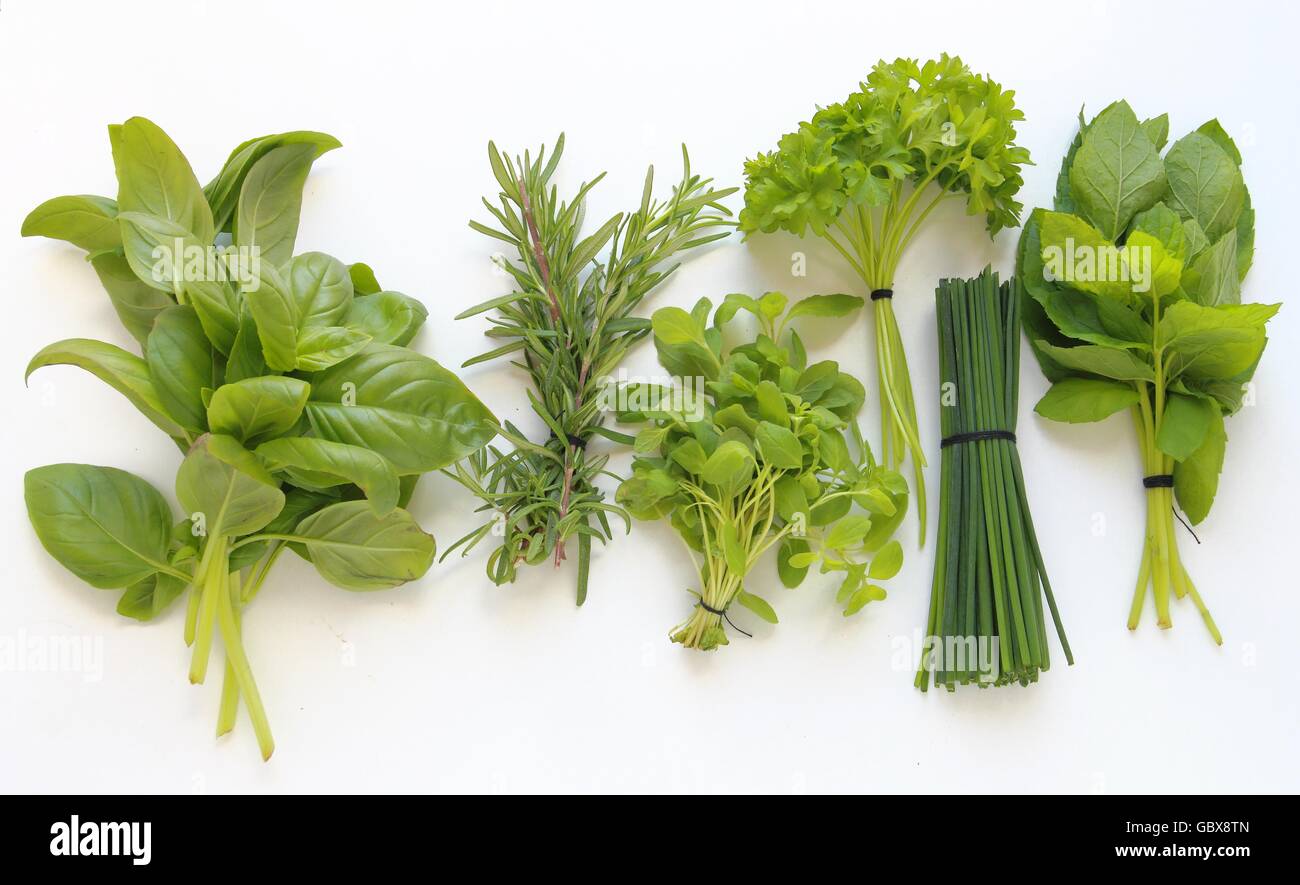 Des herbes fraîches pour la cuisine isolé sur fond blanc Banque D'Images