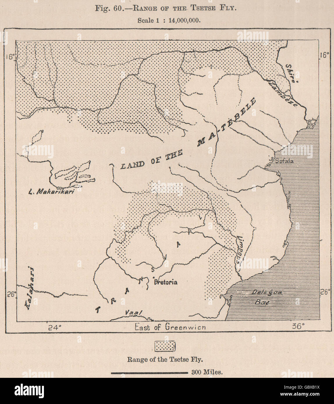 Gamme de la mouche tsé-tsé. L'Afrique, 1885 carte antique Banque D'Images