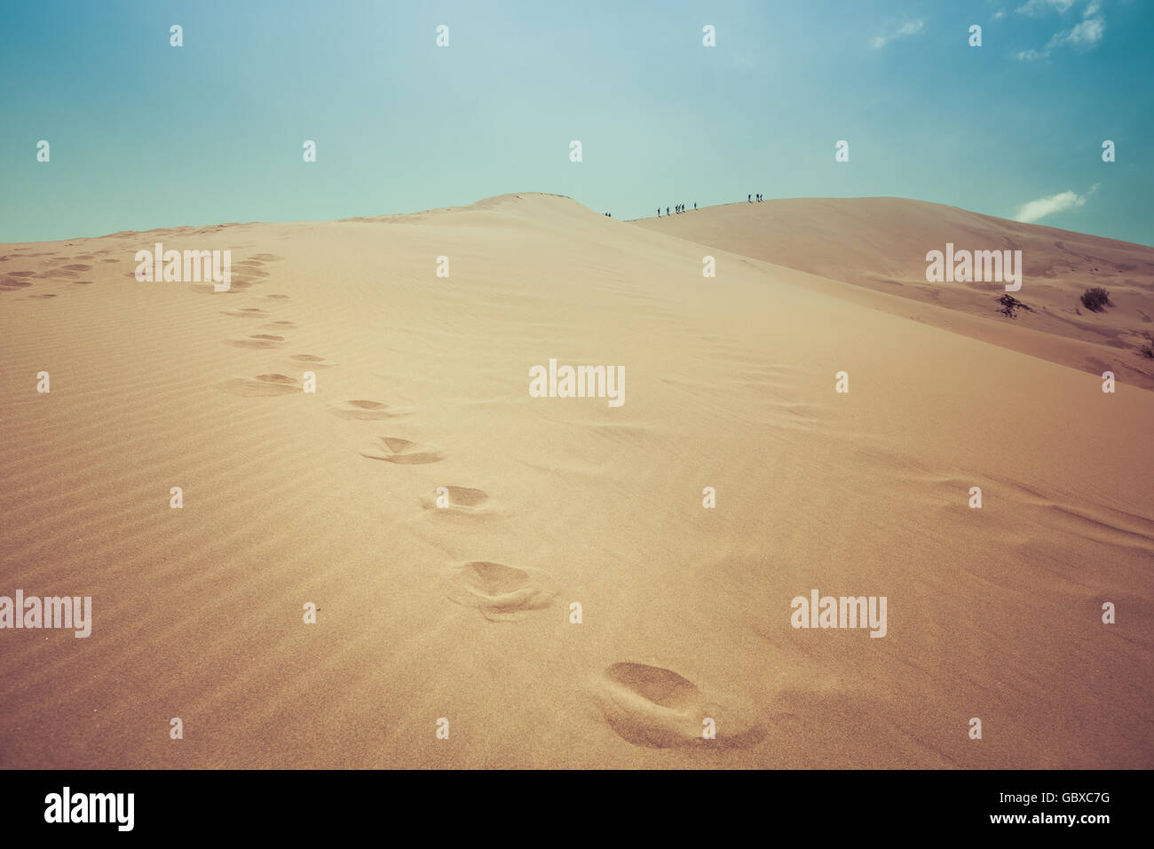 Désert de dunes, au kazakhstan, en Asie centrale, sand dune Banque D'Images