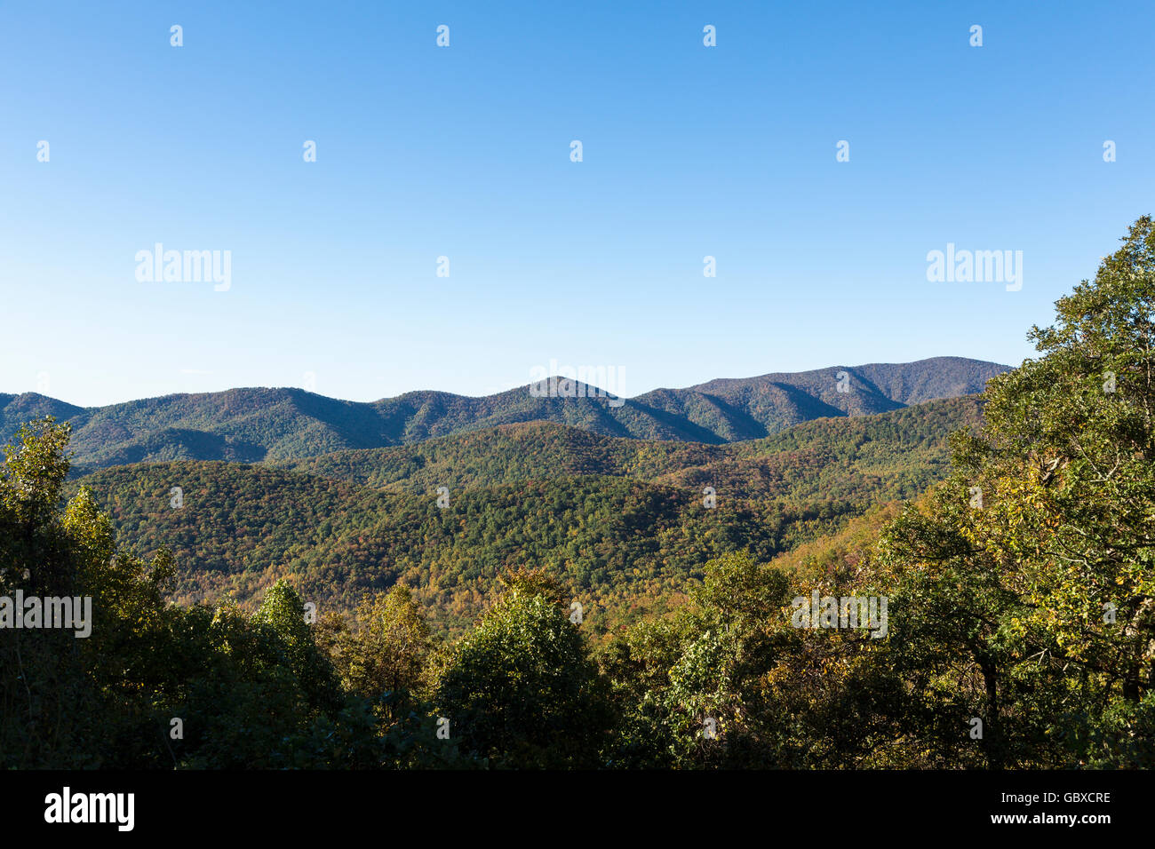 Vue sur la montagne à l'automne Blue Ridge Parkway road, Asheville, NC, USA Banque D'Images