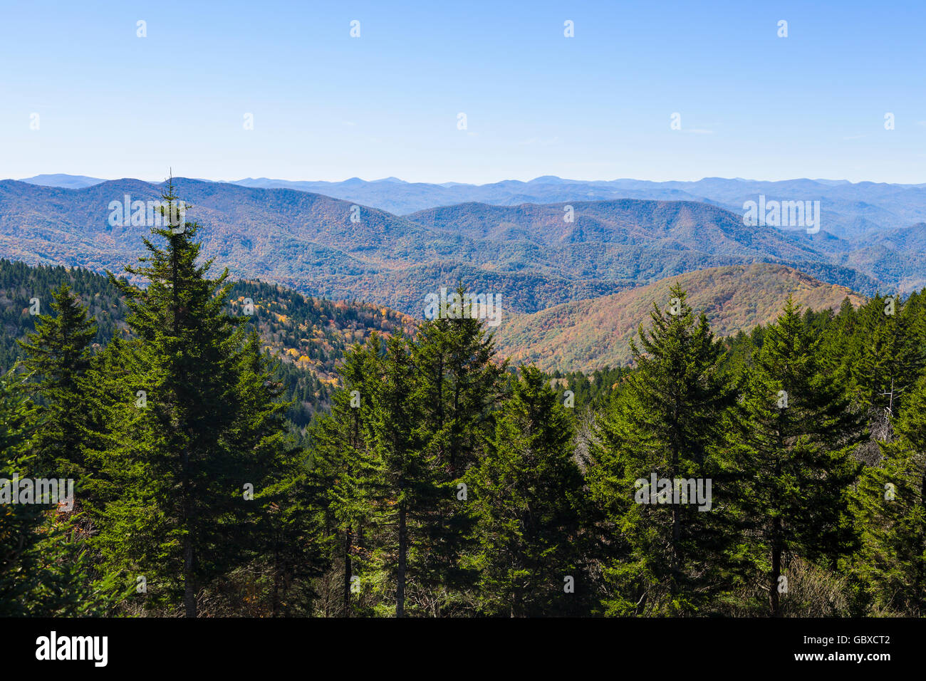 Sur la montagne plus haute altitude sur Blue Ridge Parkway road, Asheville, NC, USA Banque D'Images