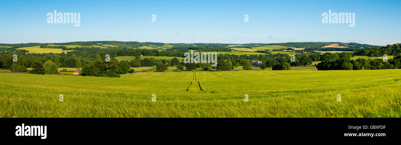 Vue panoramique sur le nord du Kent Downs, donnant sur parc Godmersham sur une claire journée d'été. Banque D'Images