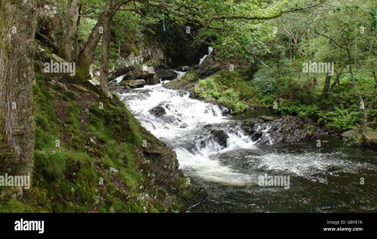 Une vue générale de la cascade de Nantcol point de beauté à Llanbedr, près de Harlech, au nord du pays de Galles. Un père et sa fille de trois ans ont été tués après s'être aventurés sur un sentier touristique et avoir plongé à 50 mètres dans une rivière en contrebas. Banque D'Images