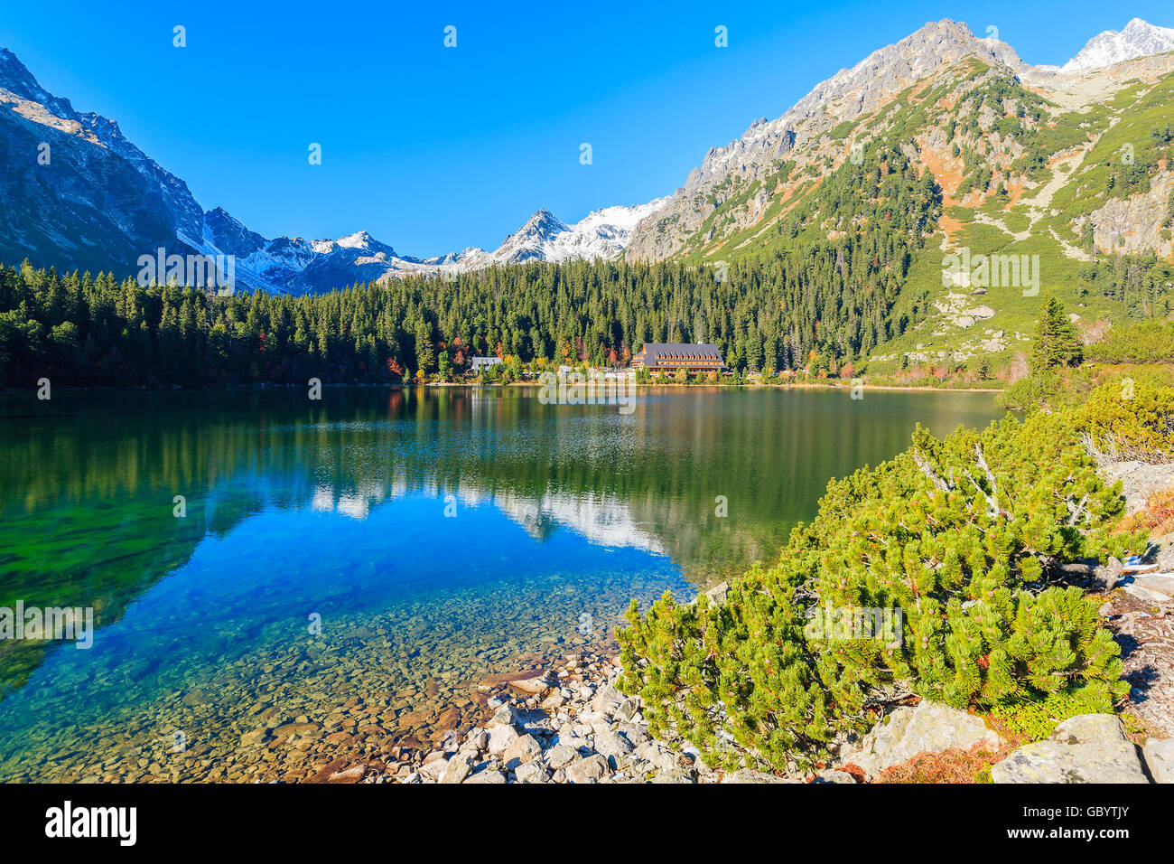 Reflet de la montagne dans le lac Popradske en automne couleurs de Tatras, Slovaquie Banque D'Images