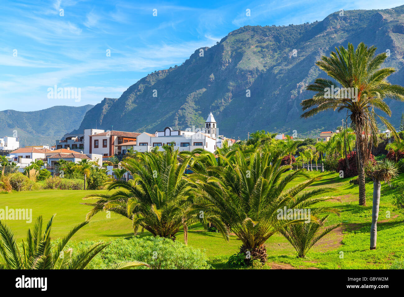 Palmiers tropicaux dans paysage de montagnes du nord de Tenerife avec Buenavista del Norte en ville distance, Îles Canaries, Espagne Banque D'Images